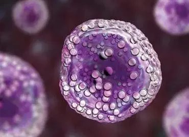 Australia approves Minjuvi as first chemotherapy-free immunotherapy for follicular lymphoma