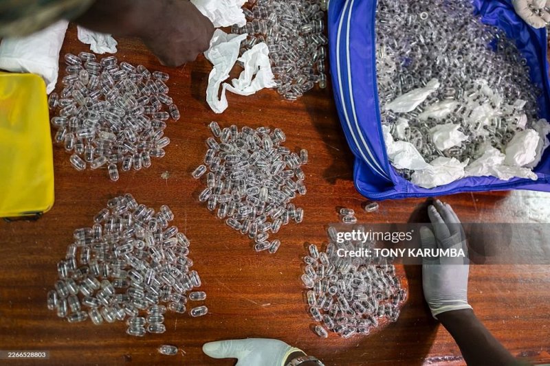 Chinese national jailed in Kenya for smuggling 2,200 live ants -  VIDEO 