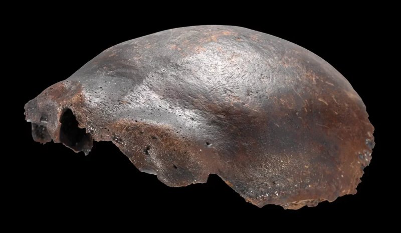 Neanderthal-Human hybrid theory debunked as suspect skull is reidentified