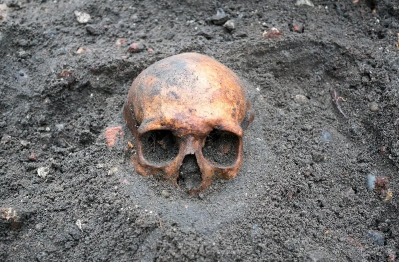 Archaeologists discover unsettling use of human bones as tools in Bronze Age Britain