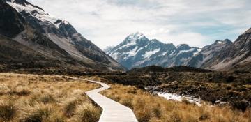 New Zealand group lands in safe pair of hands following cliff rescue