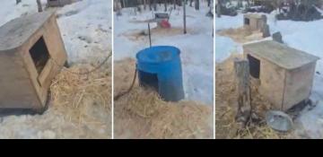 Willow woman arrested as 25 dogs found dead on Alaska property