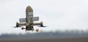 Wild Hornets set a new long-range control record for the 