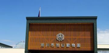 Asahiyama Zoo delays summer opening amid investigation into wife's murder -  VIDEO 