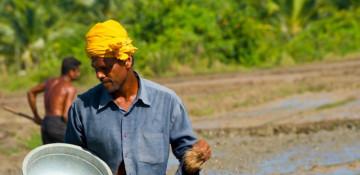 Sri Lanka moves to secure fertiliser supplies as Middle East conflict threatens imports