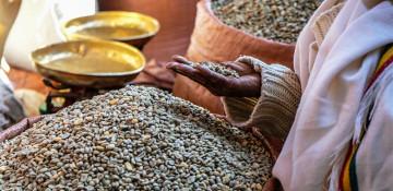 IMF, World Bank, WFP warn food access 'at risk' amid Mideast war