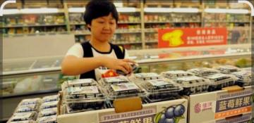 China zero-tariff policy set to boost Zimbabwe blueberry exports