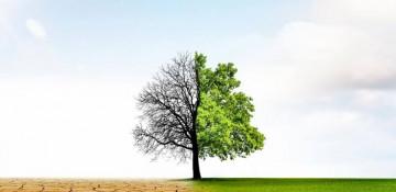 UN launches $5.2M green initiative to boost Nairobi climate resilience