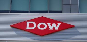Dow appoints insider Karen Carter as CEO