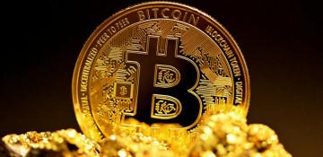 Why Bitcoin is increasingly being treated like digital gold  (World)