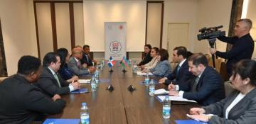 Sahiba Gafarova: Azerbaijan prioritizes support for small island nations