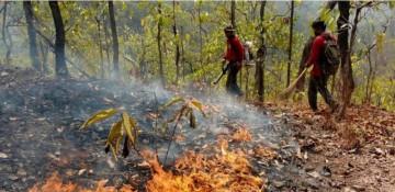 Thailand boosts wildfire response with satellite tech