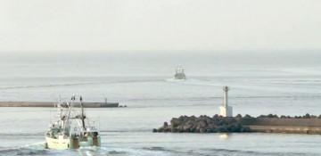 Ships flee Japan port after tsunami warning -  VIDEO 