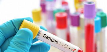 Singapore records lower dengue cases in early 2026