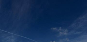 SpaceX burns cash on AI despite Starlink profits