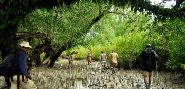 Bangladesh's Sundarbans forest plagued by pirate gangs