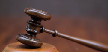 Munich court rules man not liable for Porsche damage in dog escape