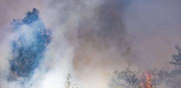 Multiple fires break out on Dutch military training ranges