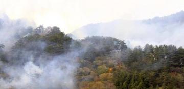 Massive wildfire forces evacuations in northeast Japan