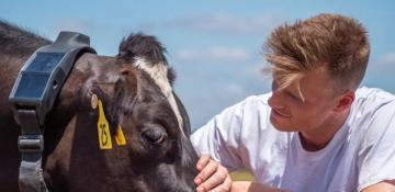Halter launches world-first satellite-to-collar technology for remote beef farming