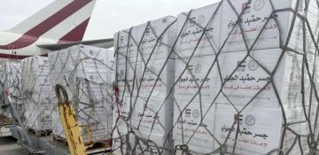 UAE delivers 100 tonnes of food aid to Al Arish for Gaza relief