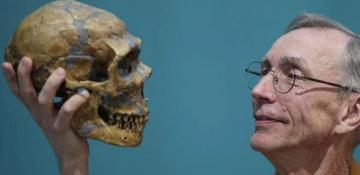 Climate vs competition: what killed our closest relatives?