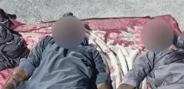 Several militants killed in security operation in southeastern Iran 