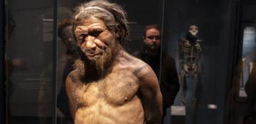 Uncovering Britain's first inhabitants: from Neanderthals to the Stone Age