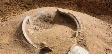 Hoard of ancient cauldrons discovered in Schaalby