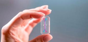 Artemis II's unprecedented human experiment is just beginning 