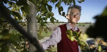 Scientists hack tree growth to save Britain’s ash from extinction