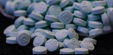 Central Asia: The new global frontline for synthetic drugs and cybercrime