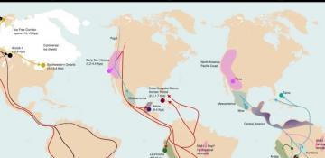 Genomic study reveals third migration wave into South America