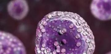 Australia approves Minjuvi as first chemotherapy-free immunotherapy for follicular lymphoma