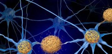 Vitamin B3 derivative could hold the key to preventing Alzheimer’s