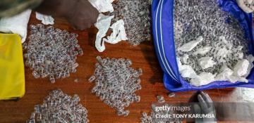 Chinese national jailed in Kenya for smuggling 2,200 live ants -  VIDEO 