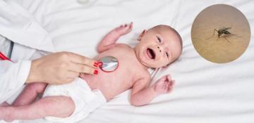 Novartis’ Coartem Baby receives WHO prequalification as first malaria treatment for newborns