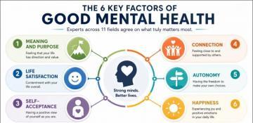 The six core elements of identified by experts