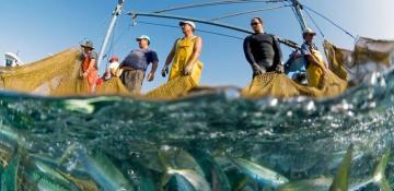 EU launches €115M fund to restore oceans and empower fishers