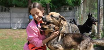 Louisiana House approves statewide framework for managing stray animals -  VIDEO 