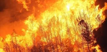 Thousands ordered to evacuate as massive wildfires threaten northern Japan town -  VIDEO 