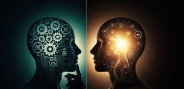 Metacognition: How the brain evaluates decisions to shape self-awareness