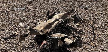 US pilot reportedly captured after jet downed in central Iran 