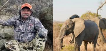 Nature strikes back: Big-game hunter trampled by elephants in Gabon