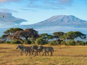 Kenya tourism surges in 2025 as international arrivals rise 9 percent to 2.7 million
