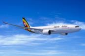 Uganda Airlines flight makes emergency return after bird strike -  PHOTO 