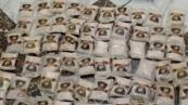 Jordan customs foil major drug smuggling attempts within 48 hours 