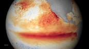 Tropical Pacific signals raise fears of powerful 'El Niño' event