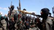 Somalia kills 27 al Shabaab militants in operation
