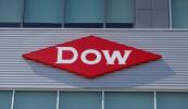 Dow appoints insider Karen Carter as CEO